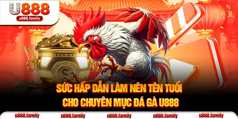 Sức hấp dẫn làm nên tên tuổi cho chuyên mục đá gà U888